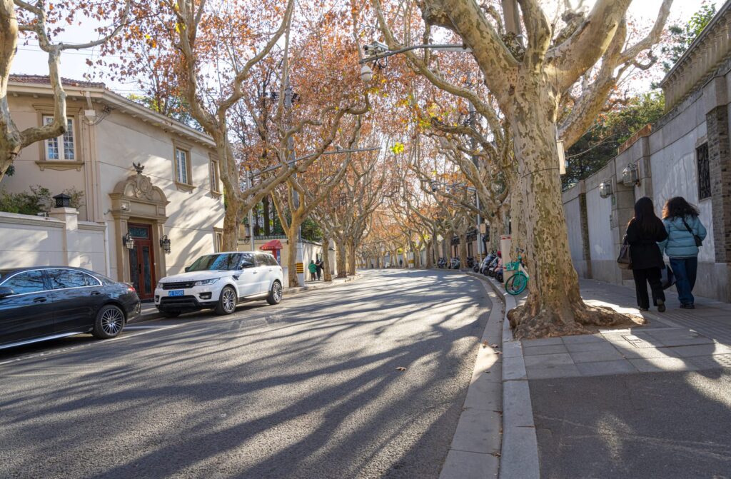 Ruhige Straße in der ehemaligen Französischen Konzession von Shanghai mit Platanen, historischen Gebäuden und parkenden Fahrzeugen.