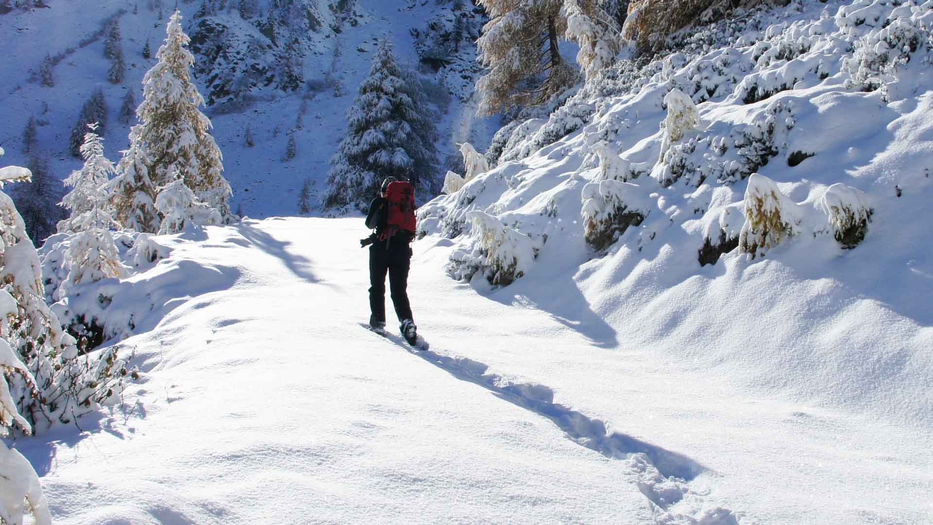 schneeschuhwandern schladming