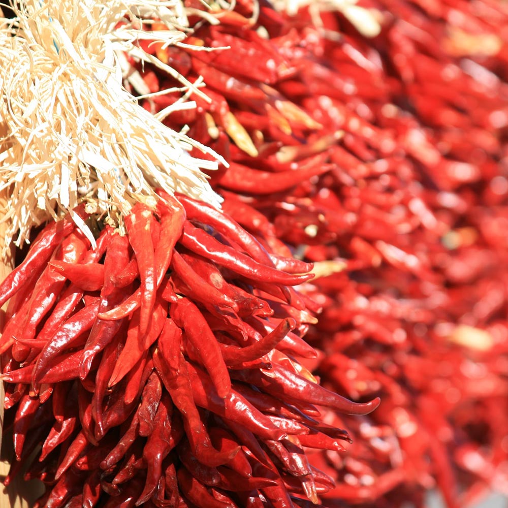 getrocknete chili