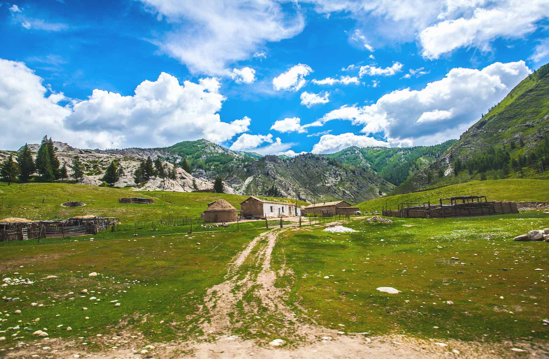 A traditional Kazakh homestead with yurt