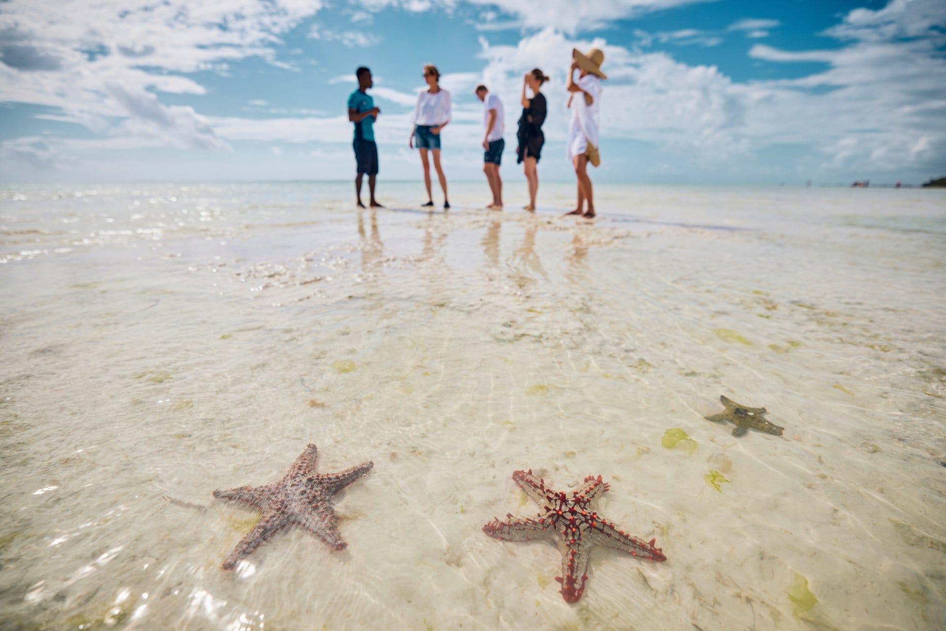 reef walk tui blue bahari zanzibar