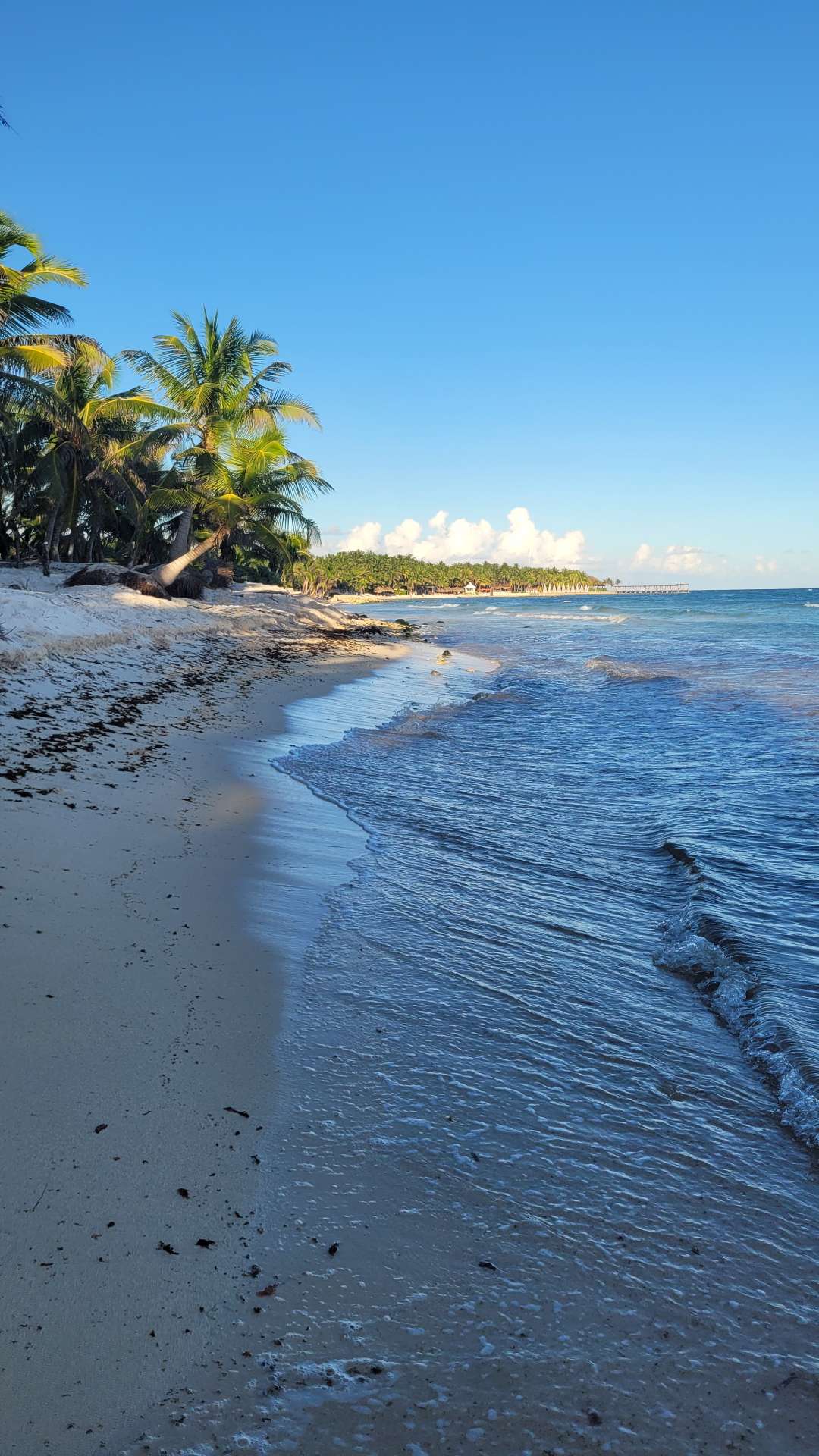 Strand des TUI BLUE El Dorado Seaside Palms