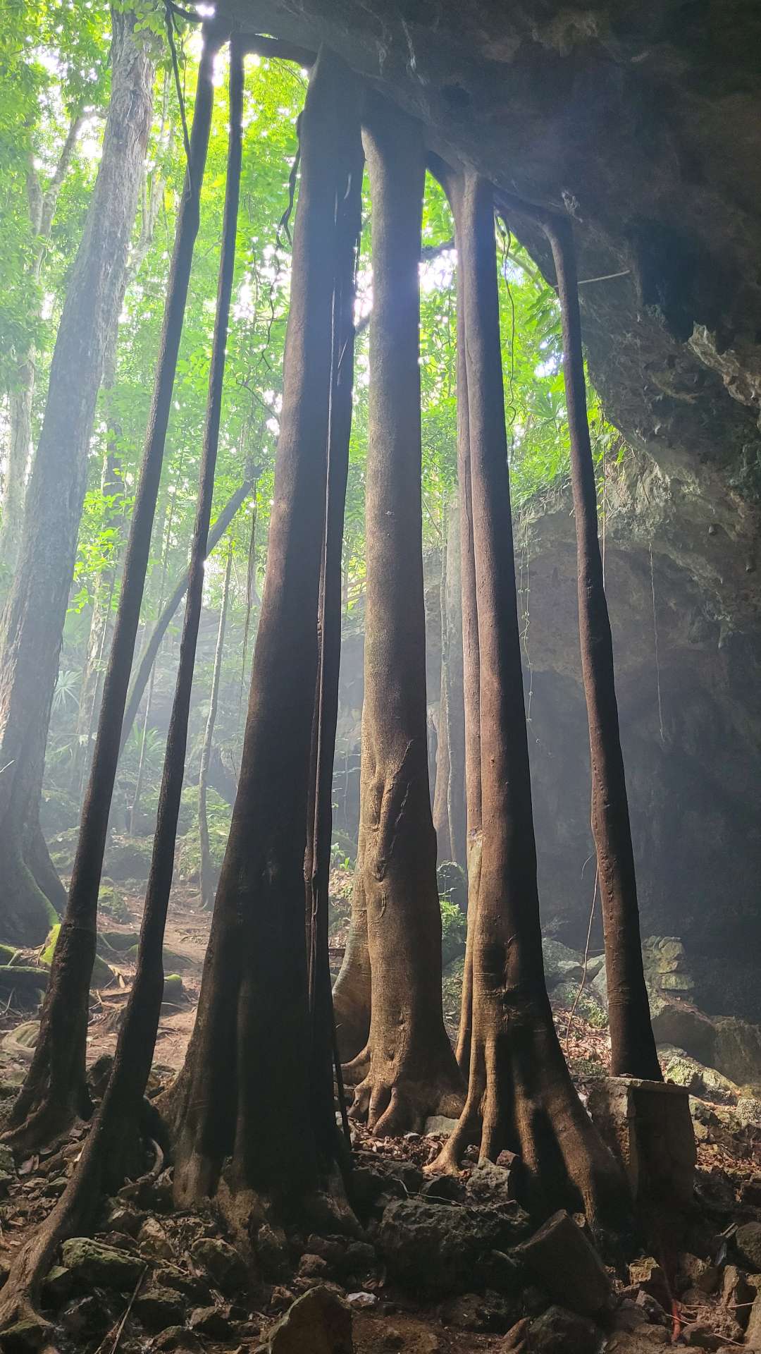 Mystische Cenote