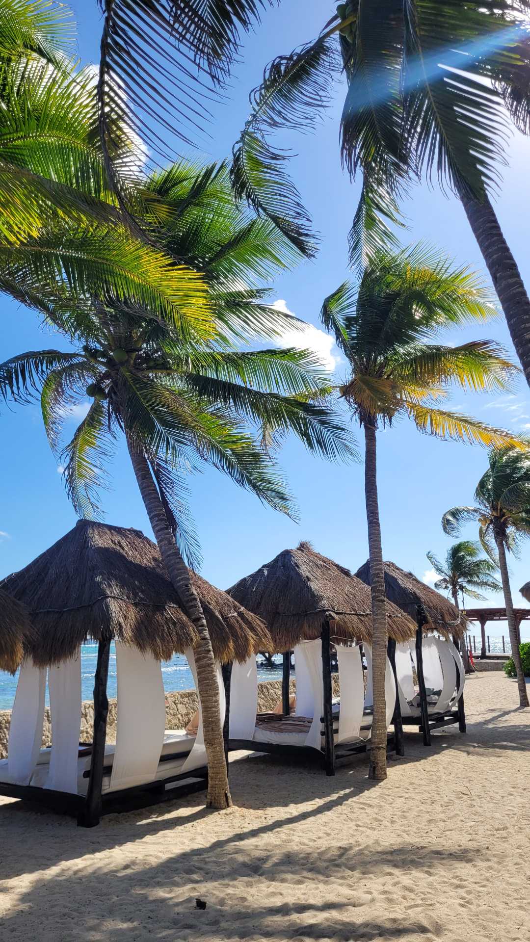 daybeds am strand el dorado seaside palms
