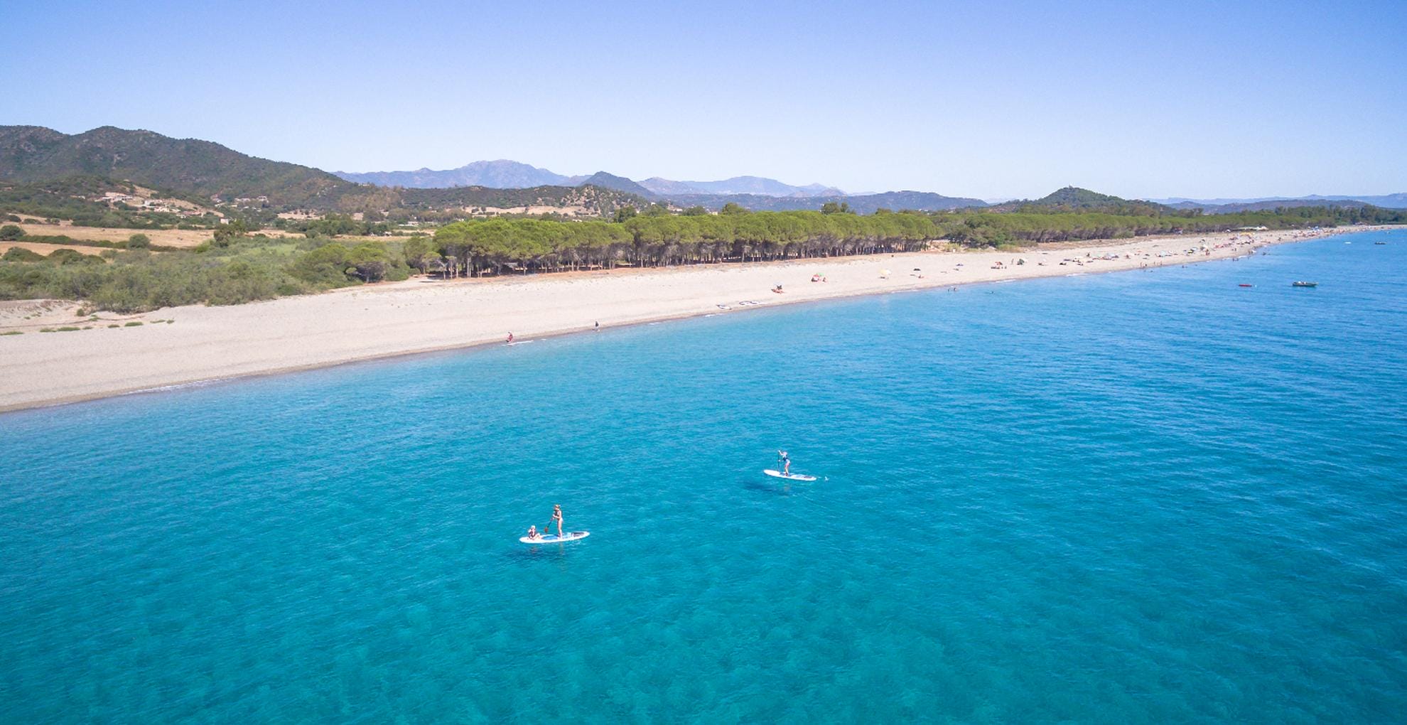 strand tui blue pardu